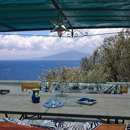 Villa L'Ulivina Σορέντο Εξωτερικό φωτογραφία