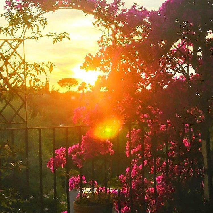 Villa L'Ulivina Σορέντο Εξωτερικό φωτογραφία
