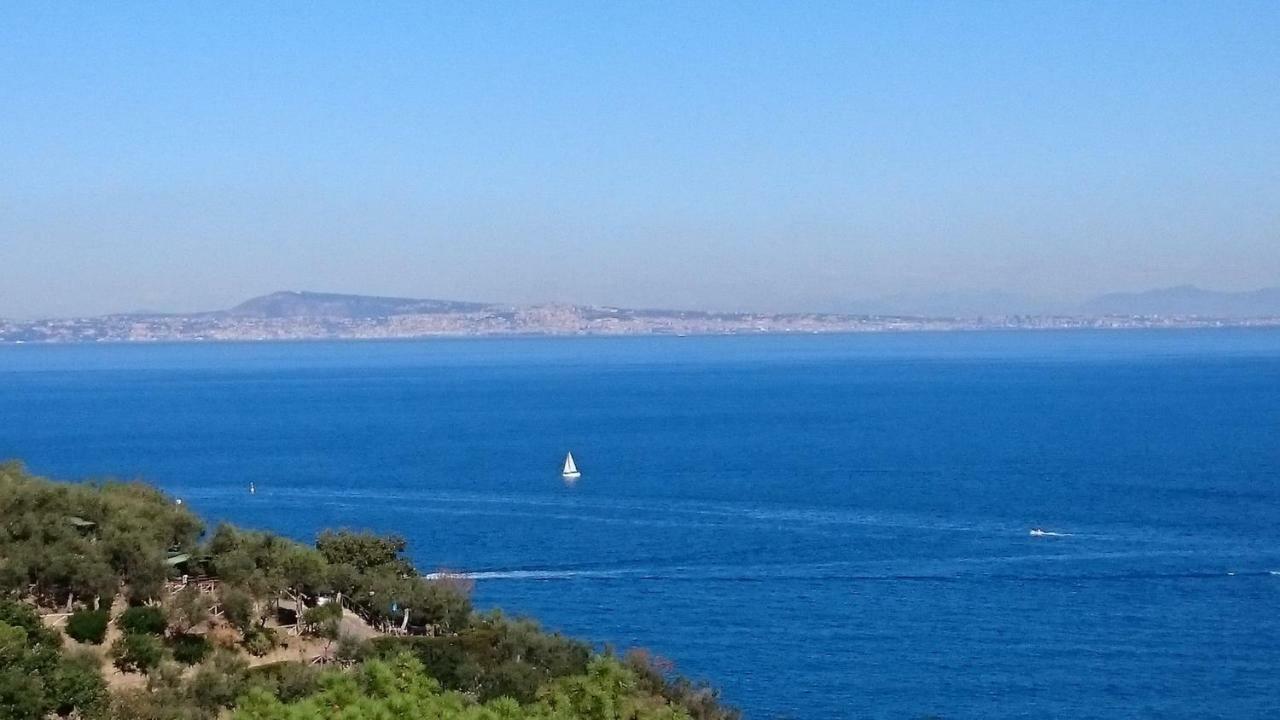 Villa L'Ulivina Σορέντο Εξωτερικό φωτογραφία