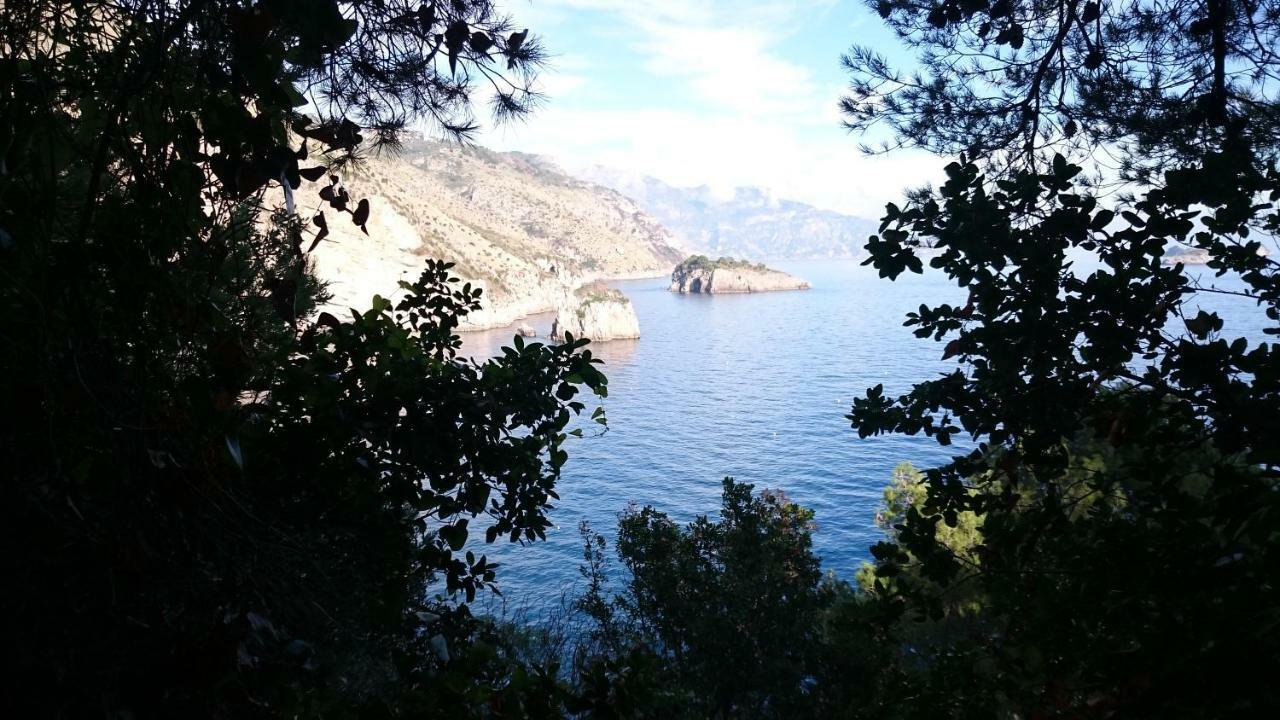 Villa L'Ulivina Σορέντο Εξωτερικό φωτογραφία