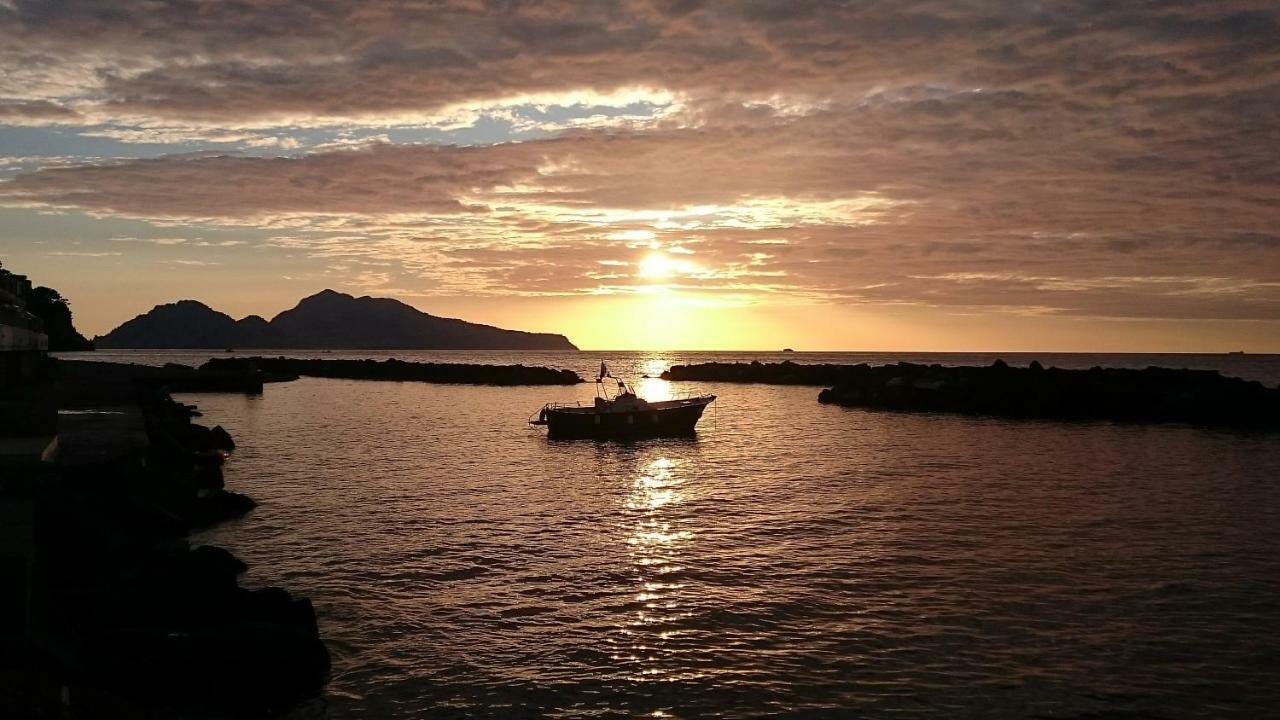 Villa L'Ulivina Σορέντο Εξωτερικό φωτογραφία